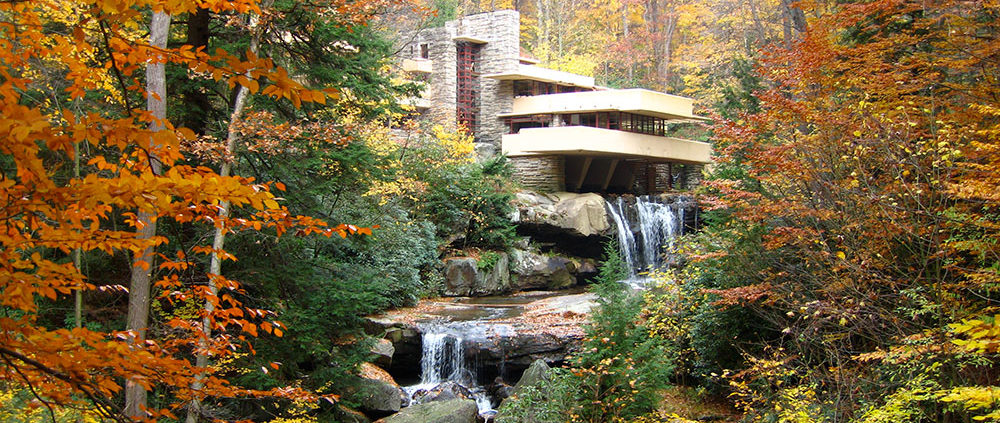 Biophilic and Biomorphic Design
